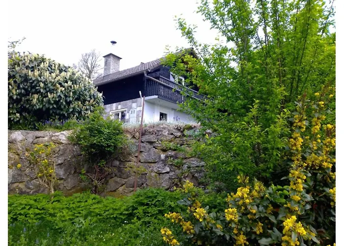 House David