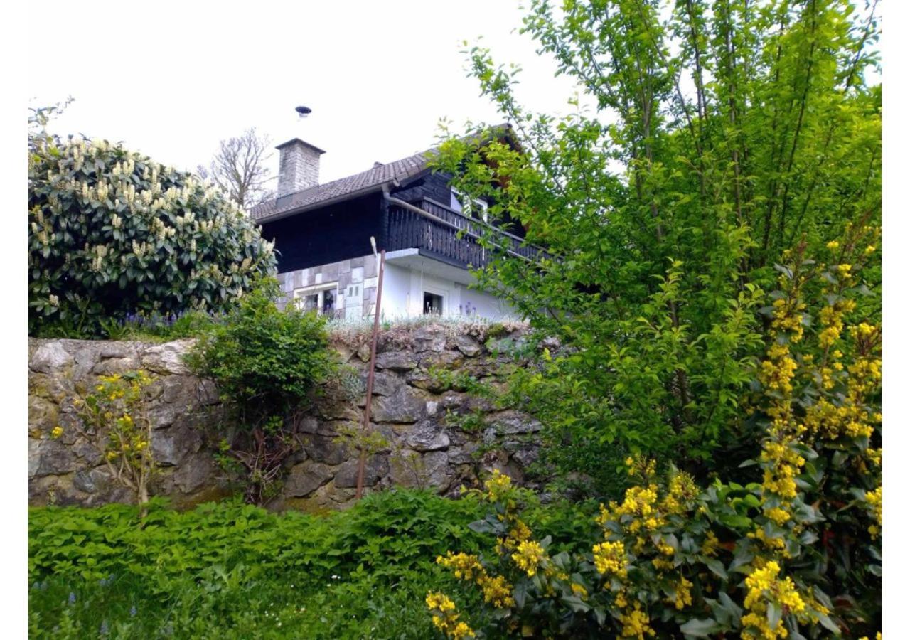 House David *