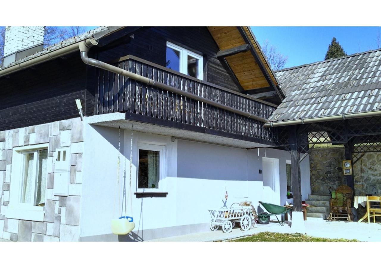 House David * Ljubljana