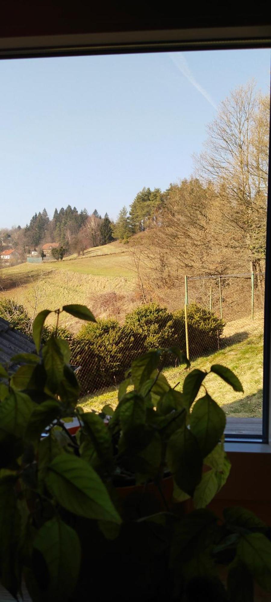 Holiday home House David *